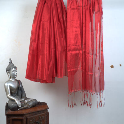 Raga Tissue Saree with Attached Blouse