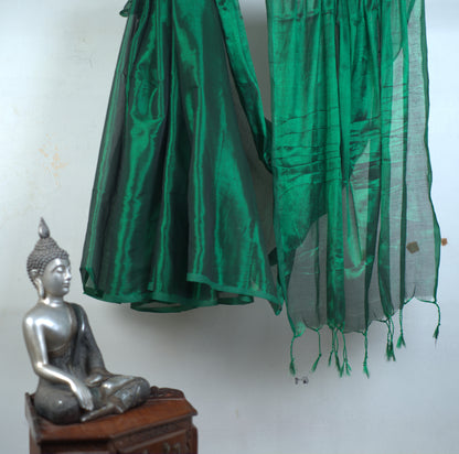 Raga Tissue Saree with Attached Blouse