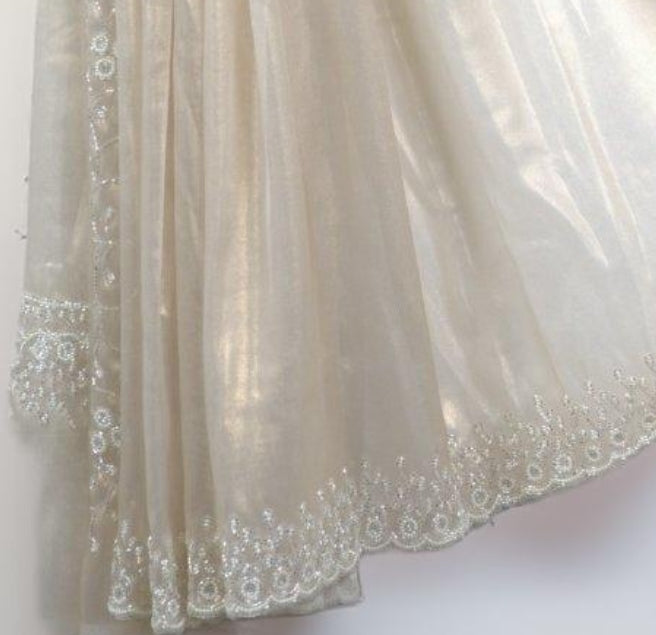 Raina Tissue Saree with Handwork Pearl & Katdhana Work Necklace Pattern | Attached matching work Blouse