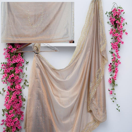 Raina Tissue Fabric Saree with Hand Sequence Work | Attached work  Blouse